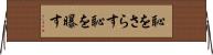 恥をさらす Horizontal Wall Scroll