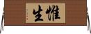惟生 Horizontal Wall Scroll