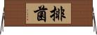 排菌 Horizontal Wall Scroll