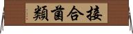 接合菌類 Horizontal Wall Scroll