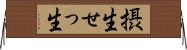 摂生 Horizontal Wall Scroll