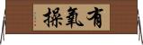 有氧操 Horizontal Wall Scroll