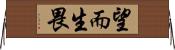 望而生畏 Horizontal Wall Scroll