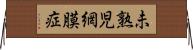 未熟児網膜症 Horizontal Wall Scroll