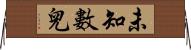 未知數兒 Horizontal Wall Scroll