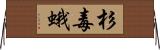 杉毒蛾 Horizontal Wall Scroll