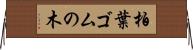 柏葉ゴムの木 Horizontal Wall Scroll