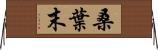 桑葉末 Horizontal Wall Scroll