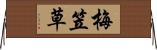 梅笠草 Horizontal Wall Scroll