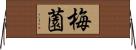 梅薗 Horizontal Wall Scroll