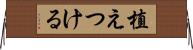 植えつける Horizontal Wall Scroll