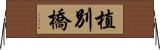 植別橋 Horizontal Wall Scroll