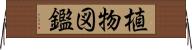 植物図鑑 Horizontal Wall Scroll