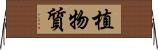 植物質 Horizontal Wall Scroll