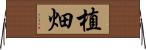 植畑 Horizontal Wall Scroll