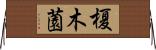 榎木薗 Horizontal Wall Scroll