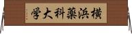 横浜薬科大学 Horizontal Wall Scroll