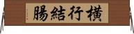 横行結腸 Horizontal Wall Scroll