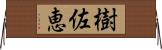樹佐恵 Horizontal Wall Scroll