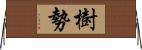 樹勢 Horizontal Wall Scroll