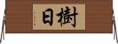 樹日 Horizontal Wall Scroll