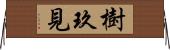 樹玖見 Horizontal Wall Scroll