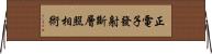 正電子發射斷層照相術 Horizontal Wall Scroll