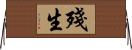 殘生 Horizontal Wall Scroll
