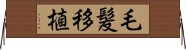 毛髪移植 Horizontal Wall Scroll