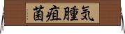 気腫疽菌 Horizontal Wall Scroll