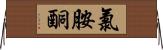 氯胺酮 Horizontal Wall Scroll