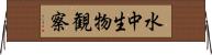 水中生物観察 Horizontal Wall Scroll