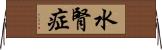 水腎症 Horizontal Wall Scroll