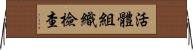 活體組織檢查 Horizontal Wall Scroll