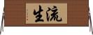流生 Horizontal Wall Scroll