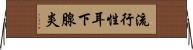 流行性耳下腺炎 Horizontal Wall Scroll