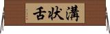 溝状舌 Horizontal Wall Scroll