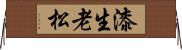 漆生老松 Horizontal Wall Scroll