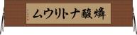 燐酸ナトリウム Horizontal Wall Scroll