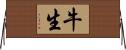 牛生 Horizontal Wall Scroll