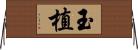 玉植 Horizontal Wall Scroll