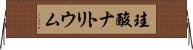 珪酸ナトリウム Horizontal Wall Scroll