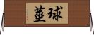 球莖 Horizontal Wall Scroll