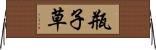 瓶子草 Horizontal Wall Scroll