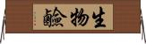 生物鹼 Horizontal Wall Scroll