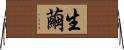 生繭 Horizontal Wall Scroll