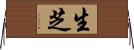 生芝 Horizontal Wall Scroll