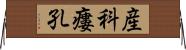 産科瘻孔 Horizontal Wall Scroll