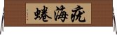 疣海蜷 Horizontal Wall Scroll