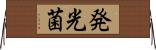 発光菌 Horizontal Wall Scroll